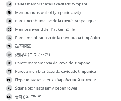 Translations