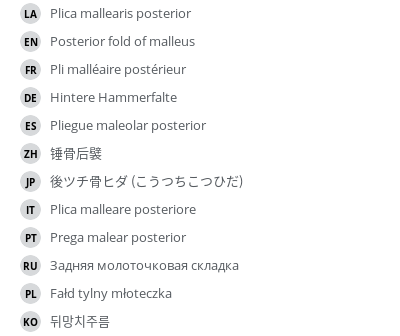 Translations