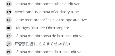 Translations