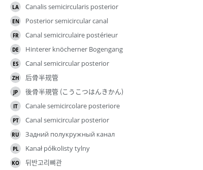 Translations