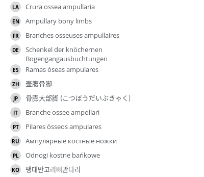 Translations
