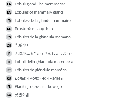 Translations