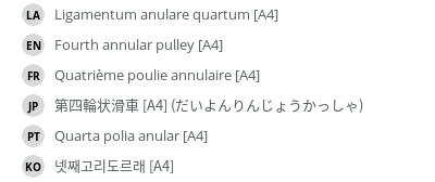 Translations