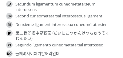 Translations