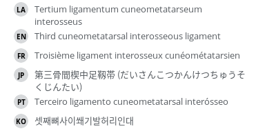Translations
