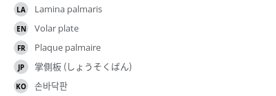 Translations