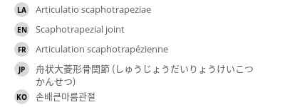 Translations