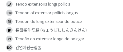 Translations