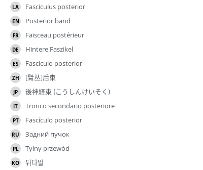 Translations