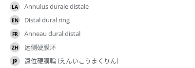 Translations