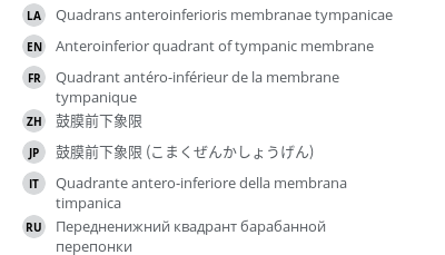 Translations