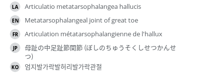 Translations