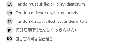 Translations