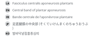 Translations