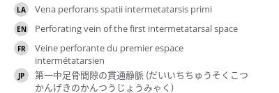 Translations