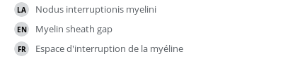 Translations
