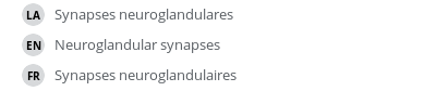 Translations