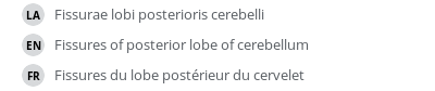 Translations