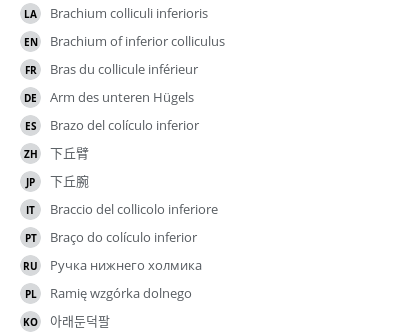 Translations