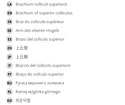 Translations