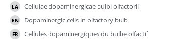 Translations