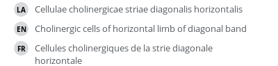Translations