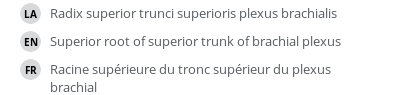 Translations