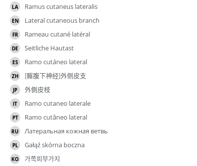 Translations