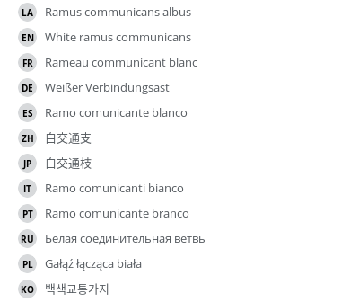 Translations