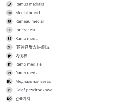 Translations