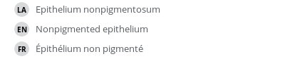 Translations