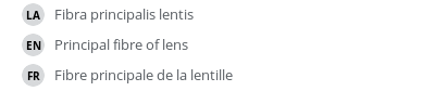 Translations