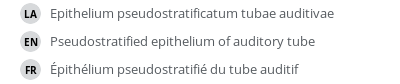 Translations