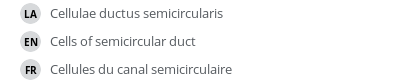 Translations