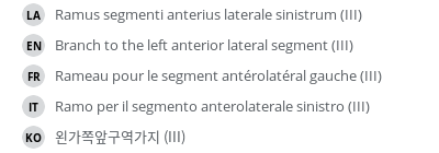 Translations