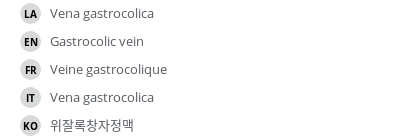 Translations