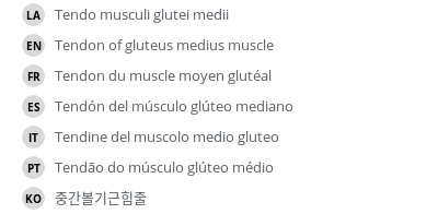 Translations