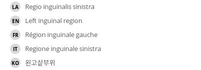 Translations