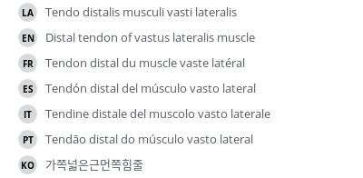 Translations