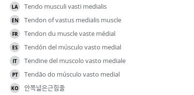 Translations
