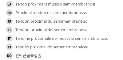 Translations