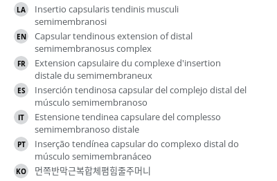 Translations