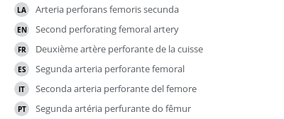 Translations