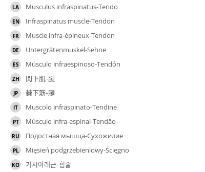 Translations