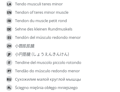 Translations