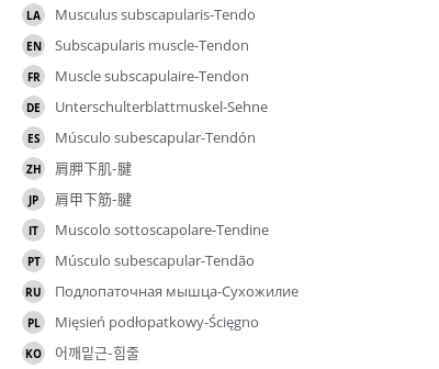 Translations