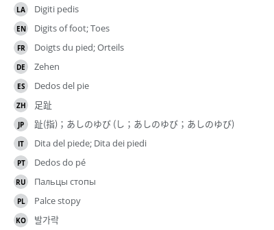 Translations