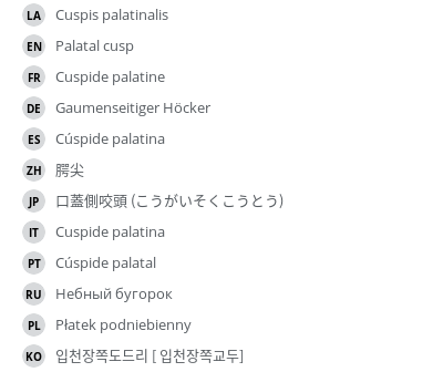 Translations