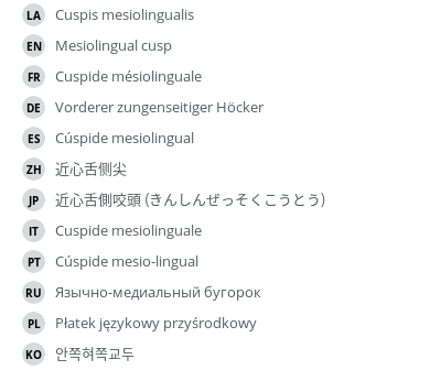 Translations