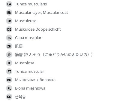 Translations